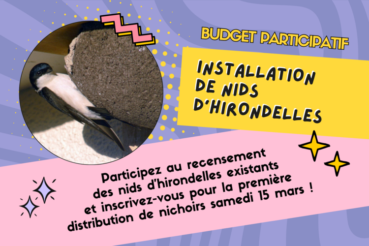 Budget